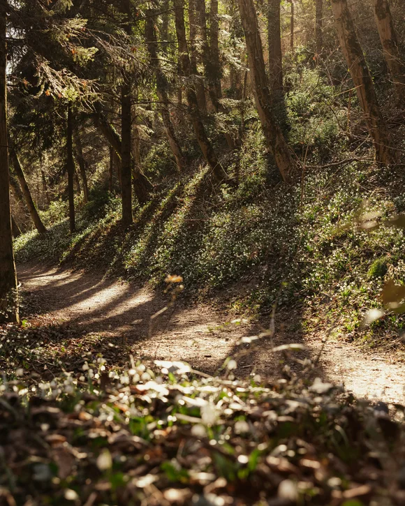 SEELEITEN Lake Spa Hotel: Ihr Wellnesshotel in Südtirol SEELEITEN Lake Spa Hotel: Ihr Wellnesshotel in Südtirol