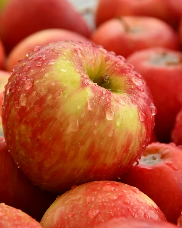 SEELEITEN Lake Spa Hotel: Ihr Wellnesshotel in Südtirol SEELEITEN Lake Spa Hotel: Ihr Wellnesshotel in Südtirol